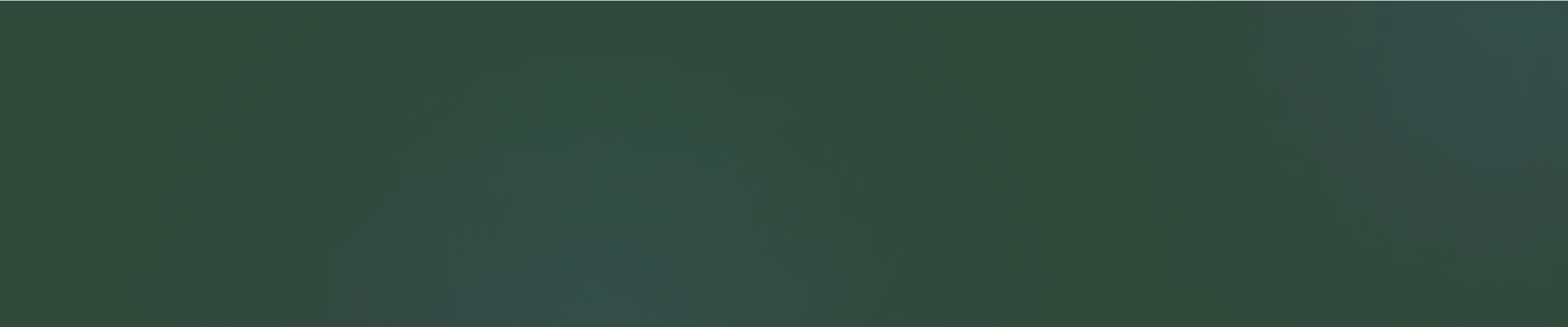 footer bg